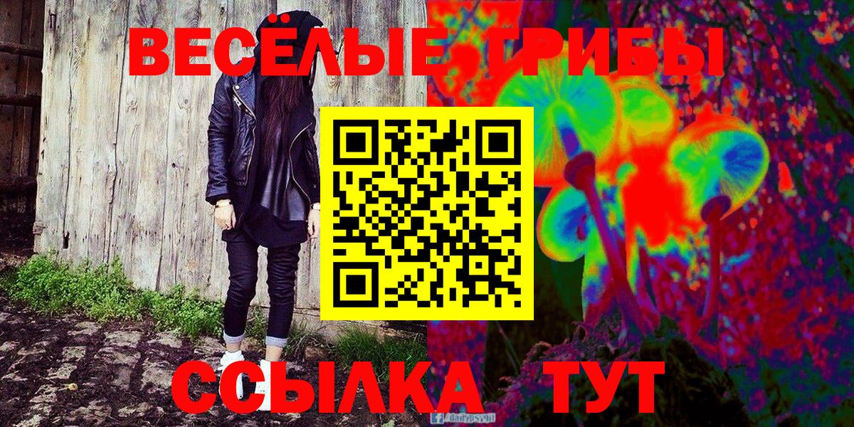 Псилоцибиновые грибы прущие грибы  Псилоцибиновые грибы Cubensis  Полевской  Вход с VPN 