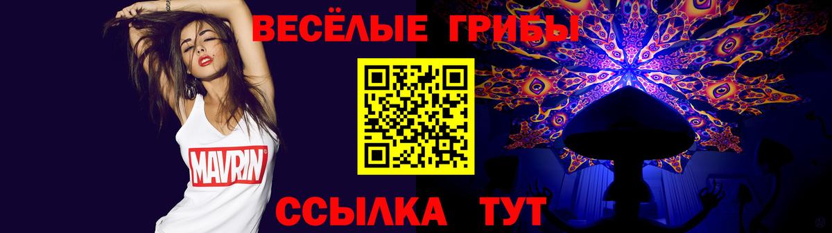 Псилоцибиновые грибы Psilocybe Полевской