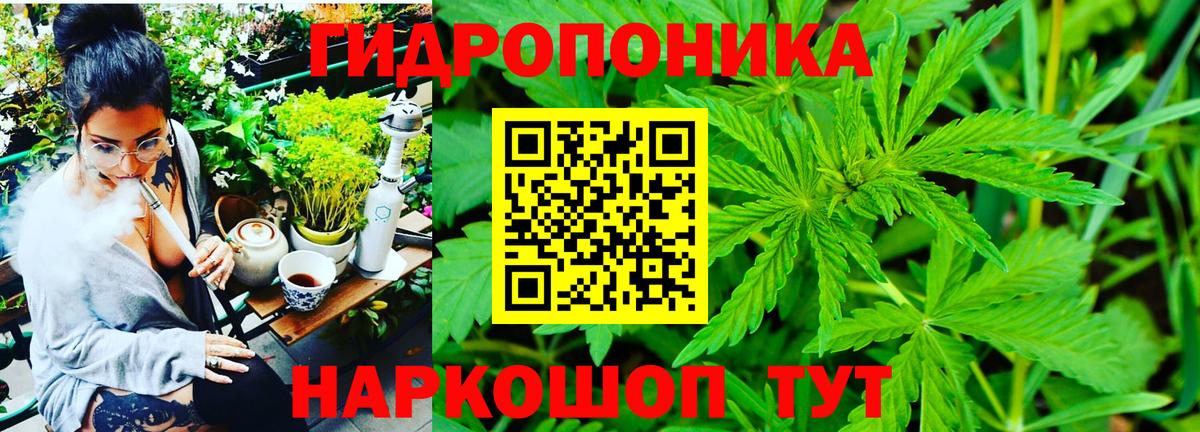 Конопля Amnesia  Шишки марихуана MAZAR  Вход с VPN  Полевской  Марихуана SATIVA & INDICA 